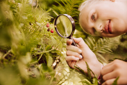 Girl looking through magnifier at small strawberries