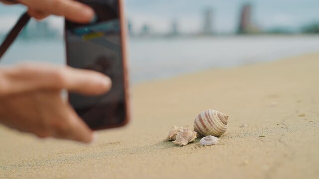 Lady capturing memories of summer vacation, photography seashells on sand. Closeup view, summertime on coastline, spend vacation and holidays on sea shore, merry weekend near ocean shore in summer