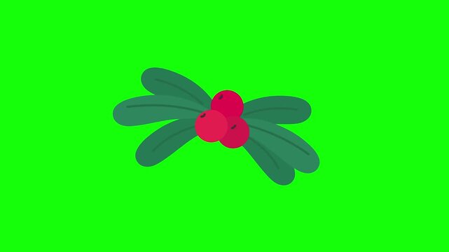 Simple Flat Design of Bright Red Berries and Green Leaves on Chroma Key for Holiday Projects