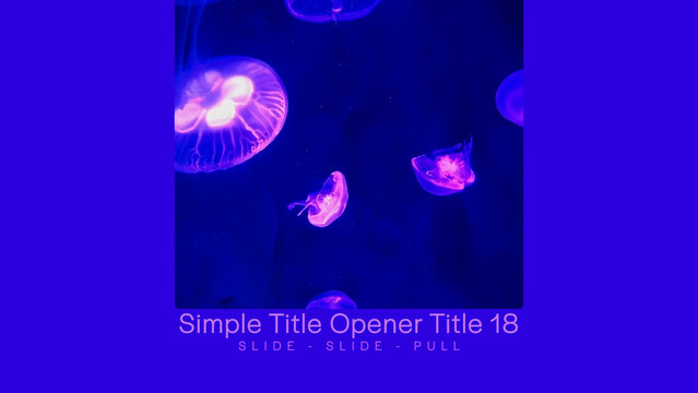 Simple Title Opener Set 1 Title 18