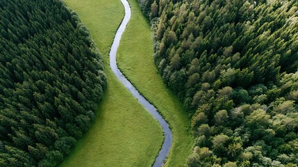 Naklejka premium The Meandering River Through Lush Green Valley and Dense Forest From Aerial Perspective