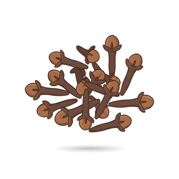 Cloves Spice Illustration &ndash; Aromatic Dried Clove Vector - indonesian spice, bumbu dapur, cooking ingredient