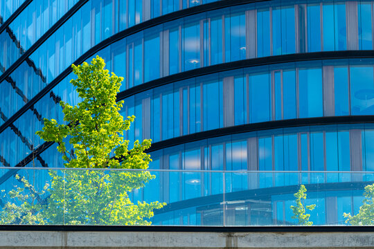 Blue glass facade with curved windows and reflections of a tree creates modern architecture as the building follows the curved facade through windows and reflections