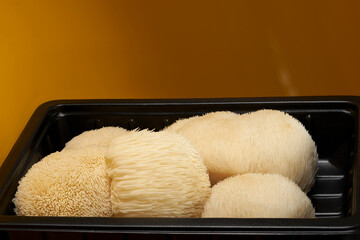 Fresh Lion’s Mane mushrooms (Hericium erinaceus) arranged in a black tray against a warm orange background with generous copy space for culinary, food and wellness designs. © DEWINs