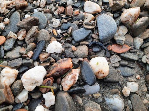 Close-up of colorful smooth pebbles and natural stones scattered along a rocky beach, showing varied shapes, colors, and textures