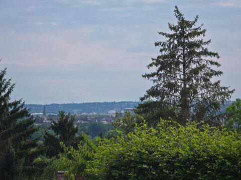 germany, peaceful summer landscape overlooking stuttgart plieningen houses and church surrounded by lush green treetops and nature