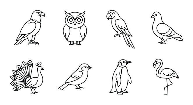 Bird line icons set with eagle, owl, parrot, pigeon, peacock, sparrow, penguin and flamingo for wildlife design