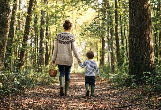 Mother and child holding hands walking through a sunlit forest path