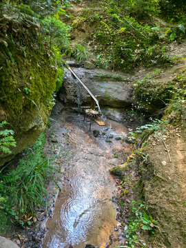 germany, enchanting flowing water in schelmenklinge forest near lorch surrounded by vibrant summer foliage and natural rock formations