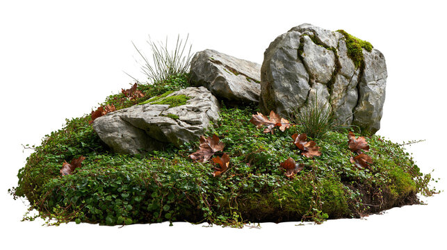 Weathered grey boulders with green moss and fallen autumn leaves on soil mound