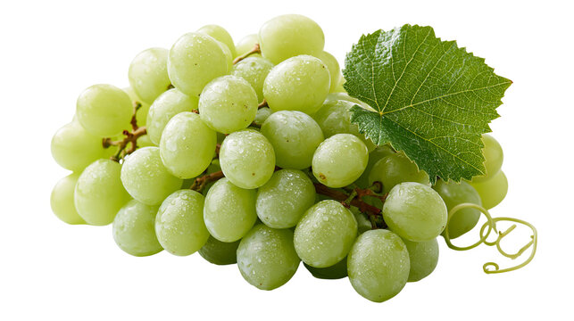 Fresh cluster of ripe green grapes with water droplets and a single vine leaf