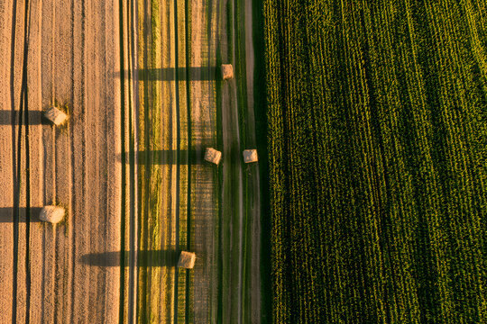 An aerial perspective of wheat and corn fields at dusk, featuring parallel lines and haystacks, illustrating agricultural scenes in Normandy &ndash; green and golden