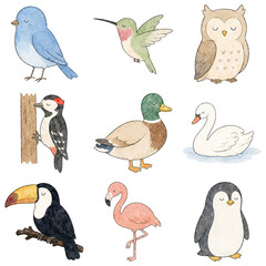 Naklejka premium Watercolor bird collection, colorful feathered characters, soft painted feathers, perched and flying poses, slender beaks, soft washes, varied wildlife illustrations