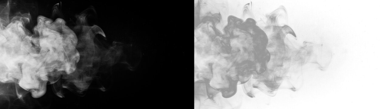 Abstract cloud of white powder explosion, freeze motion of dust particles on black and transparent background