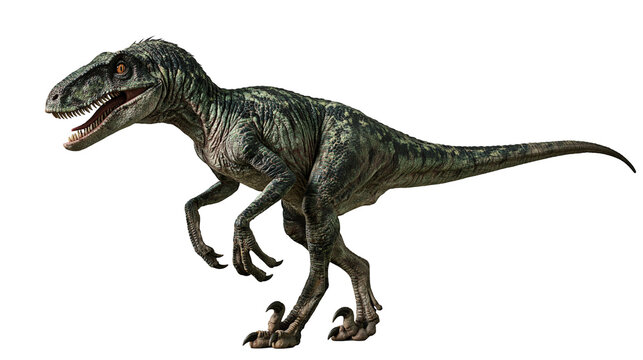 Green scaly Velociraptor dinosaur with sharp teeth and claws in side profile