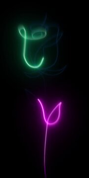 Glowing neon rose flower glowing on a pitch black background, creating an elegant illuminated light flower contour with vibrant neon colors.