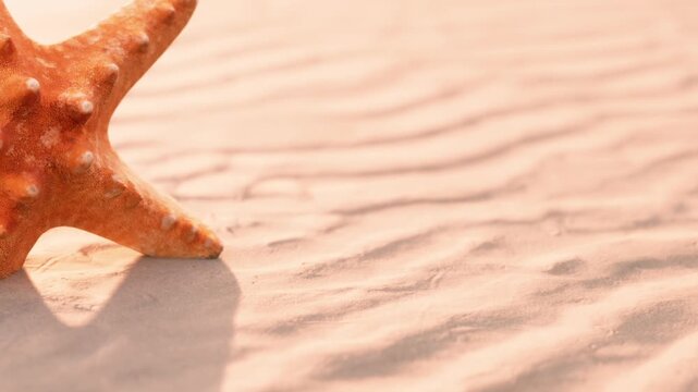 A vibrant orange starfish rests on smooth sand, illuminated by soft sunlight. The beach has delicate, rippling patterns creating a peaceful, serene scene.