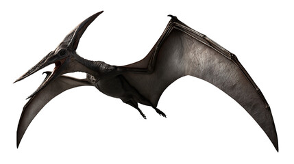 Flying Pteranodon dinosaur with large wingspan and sharp beak © Sylas