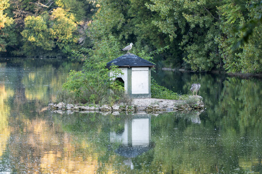 Ile aux oiseaux au centre d'un &eacute;tang