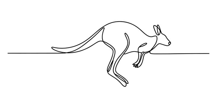 Continuous single line drawing of a jumping kangaroo isolated on transparent background
