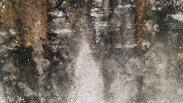 An atmospheric grunge wall background displaying deep weathering, dark fungus spots, and earth-toned patches. Excellent for album art, poster graphics, game texturing, and architectural renderings