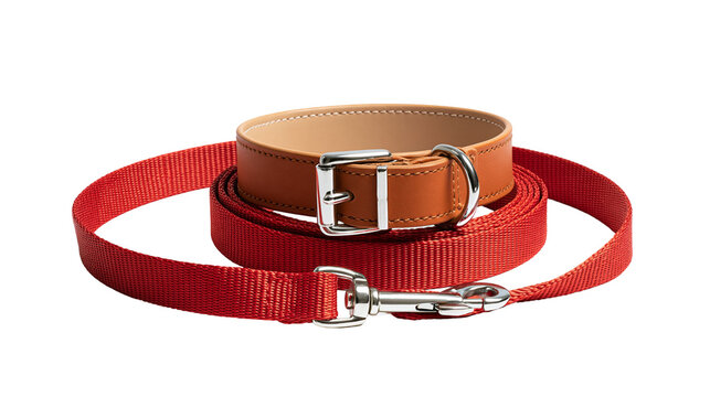 Brown leather dog collar with a red nylon leash and silver metal hardware