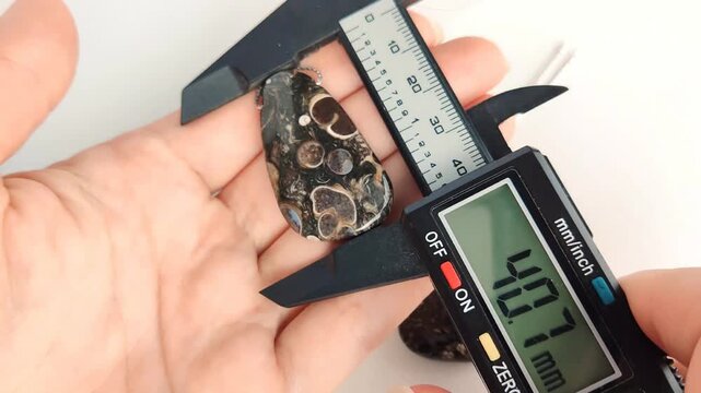 Digital caliper measuring dimensions of polished fossil coral gemstone pendant on a flat white surface showing exact millimeter size