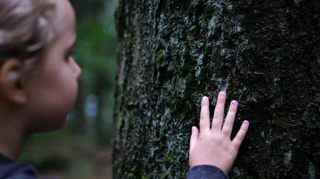 Curious child feels textured tree bark with one hand while standing among woodland trees. Young explorer calmly examines moss on trunk, connecting with nature during peaceful forest visit.