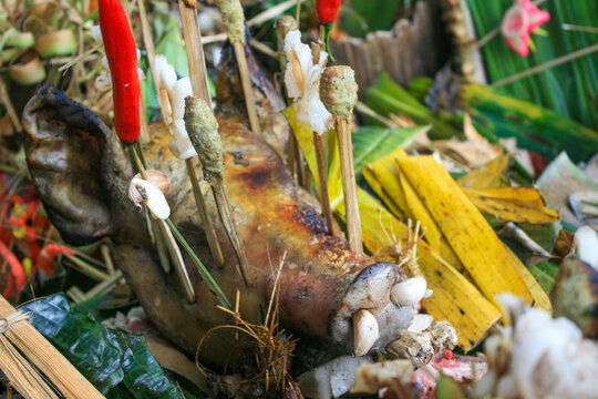 Close-up of a roasted pig head offering with chili flowers and skewers on banana leaves for the cremation ceremony, Ubud, Indonesia