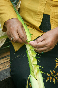 Close-up of a woman hands weaving a green palm leaf offering while she wears a yellow jacket and black embroidered clothes, Ubud, Indonesia