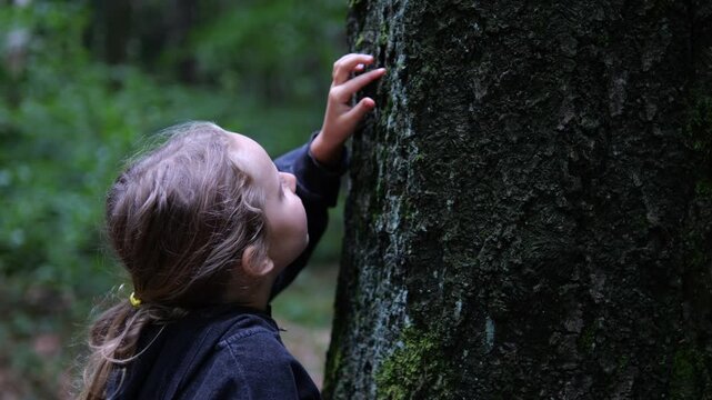 Young child explores tree trunk during family outing in green forest. Curious and focused, child reaches toward rough bark, enjoying quiet moment of outdoor nature discovery and learning through