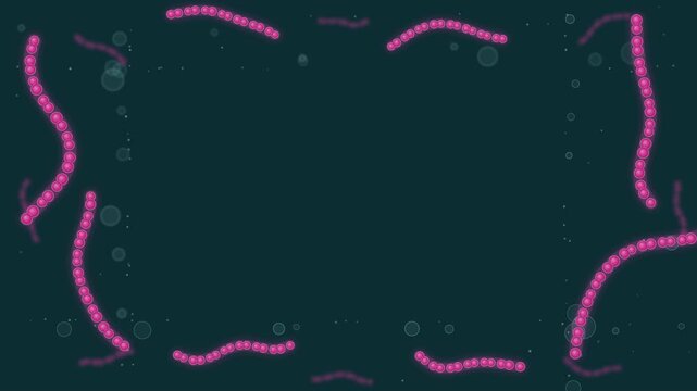 Common everyday bacteria. Pink Streptococcus chains drifting in translucent fluid seamless loop