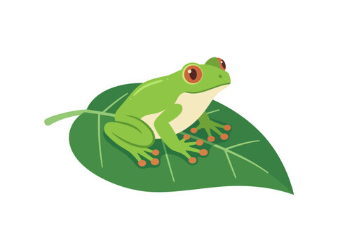 Green tree frog resting on a large leaf