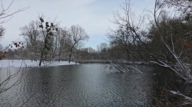 Winter landscape with snowy trees and pond in Lednice park