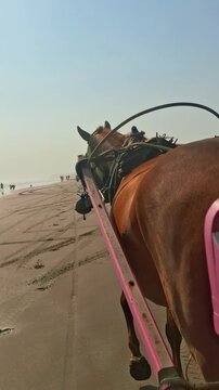 Tourists enjoying a traditional horse drawn carriage ride along the sandy coastline of Parangtritis Beach, Yogyakarta, Indonesia. This scenic travel moment represents Indonesian beach tourism.