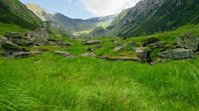Low Balea Meadow Beneath Rugged Peaks