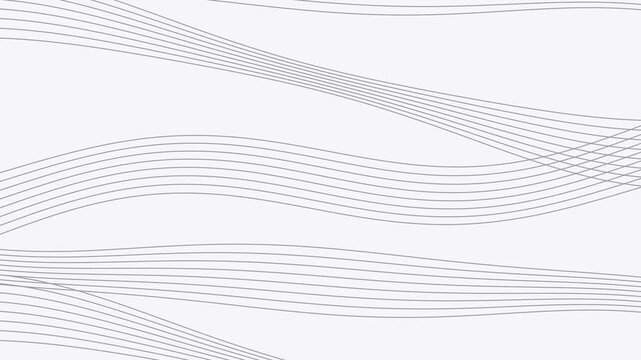 Minimalist Animated Flowing Curved Lines on White Background
