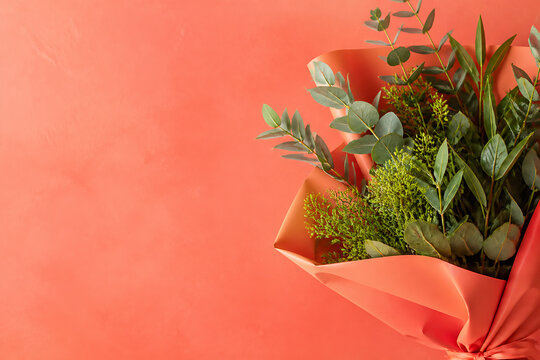 A bouquet of green foliage wrapped in orange paper is displayed against a solid coral background.