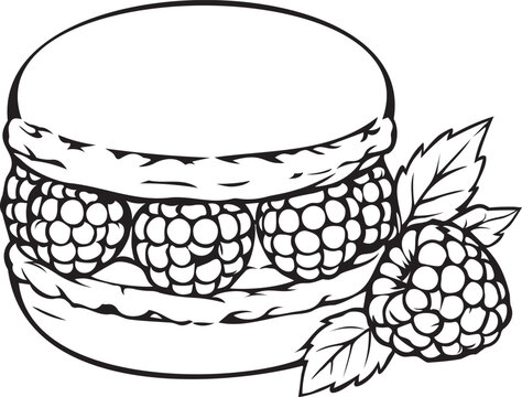 French macaron filled with fresh whole raspberries and mint leaves in black and white vector line art. Outline graphic for gourmet pastry menus, KDP coloring interiors, and craft prints.
