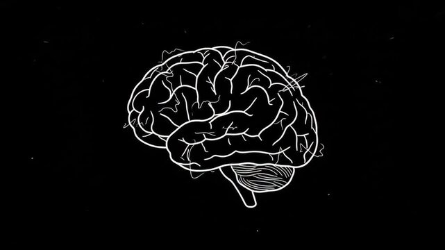 Animated white glowing neon line art of a human brain with electrical impulses and thoughts firing across synapses over a pitch black background. Great for neuroscience educational videos, psychology 