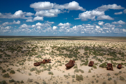 Five rusting ships stand stranded on the dry sandy seabed of the Aral Sea dotted with green shrubs under a blue cloudy sky, Moynaq, Uzbekistan