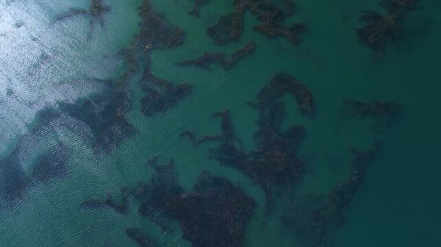 Aerial drone view of the marshes in Escalante in the Marismas de Santo&ntilde;a, Victoria y Joyel Natural Park. Cantabrian Sea. Santo&ntilde;a, Cantabria, Spain, Europe