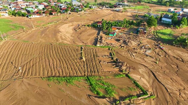 Aerial view captures traces of powerful flash floods sweeping through rice fields, highlighting sediment accumulation, damaged vegetation, and environmental disaster impacts. Nan Province, Thailand.

