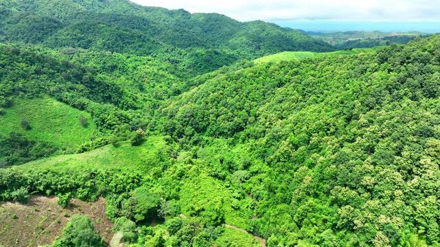 A green tropical mountains with patches of cleared forest, highlighting land use conflicts, agricultural development, vegetation loss, and biodiversity conservation. Phrae Province, Thailand. 4k.
