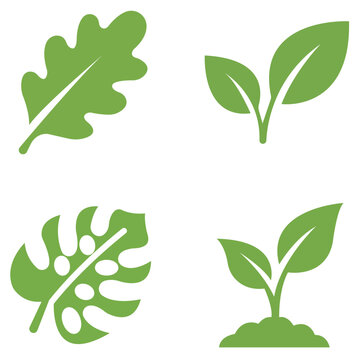 Set of four green botanical plant leaf and sprout vector icons with botanical environment isolated illustration collection sustainable seedling monstera minimalist vegetation decoration