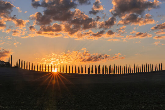 Sunrise with dramatic clouds over the Tuscany hills with a long row of cypress tree row in silhouette