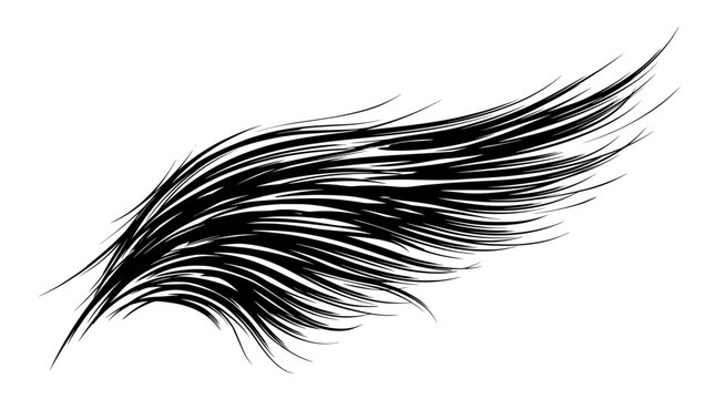 Abstract feathered wing shaped black wavy lines with abstract movement background illustration