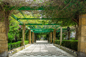 Alameda Apodaca park walkway featuring a checkered path beneath a lush green pergola, creating a scenic and shaded passage through the historic garden in Cádiz, Spain © photoopus