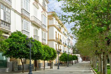 Historic buildings with traditional balconies and bay windows lining a pedestrian street, featuring rows of green trees and ornate streetlights under a blue sky in Cádiz, Spain © photoopus