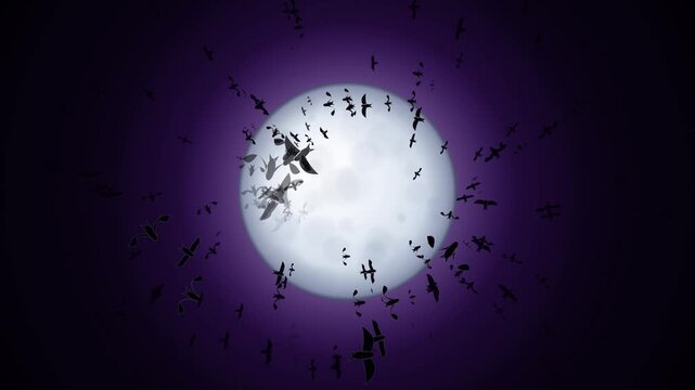 Gothic mystery 4K motion background featuring a luminous full moon in deep purple midnight with a circular vortex of silhouetted swarming bats.